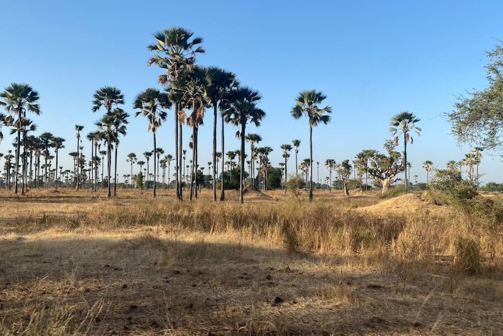 Ngalou Sessene Case Beach מראה חיצוני תמונה